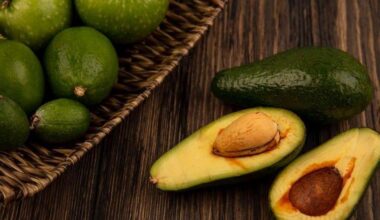 Conheça 9 frutas com gorduras que fazem bem à saúde