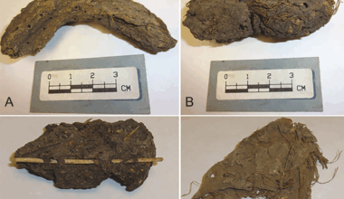 Fezes com 1300 anos revelam detalhes trágicos sobre a vida na "Caverna das Crianças Mortas"