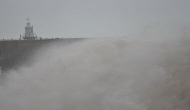 Inundações e quedas de árvore: Proteção Civil registou mais de mil ocorrências