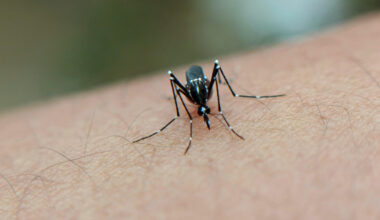 Jornal de Notícias Logo