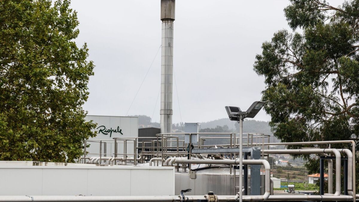 Jornal de Notícias Logo