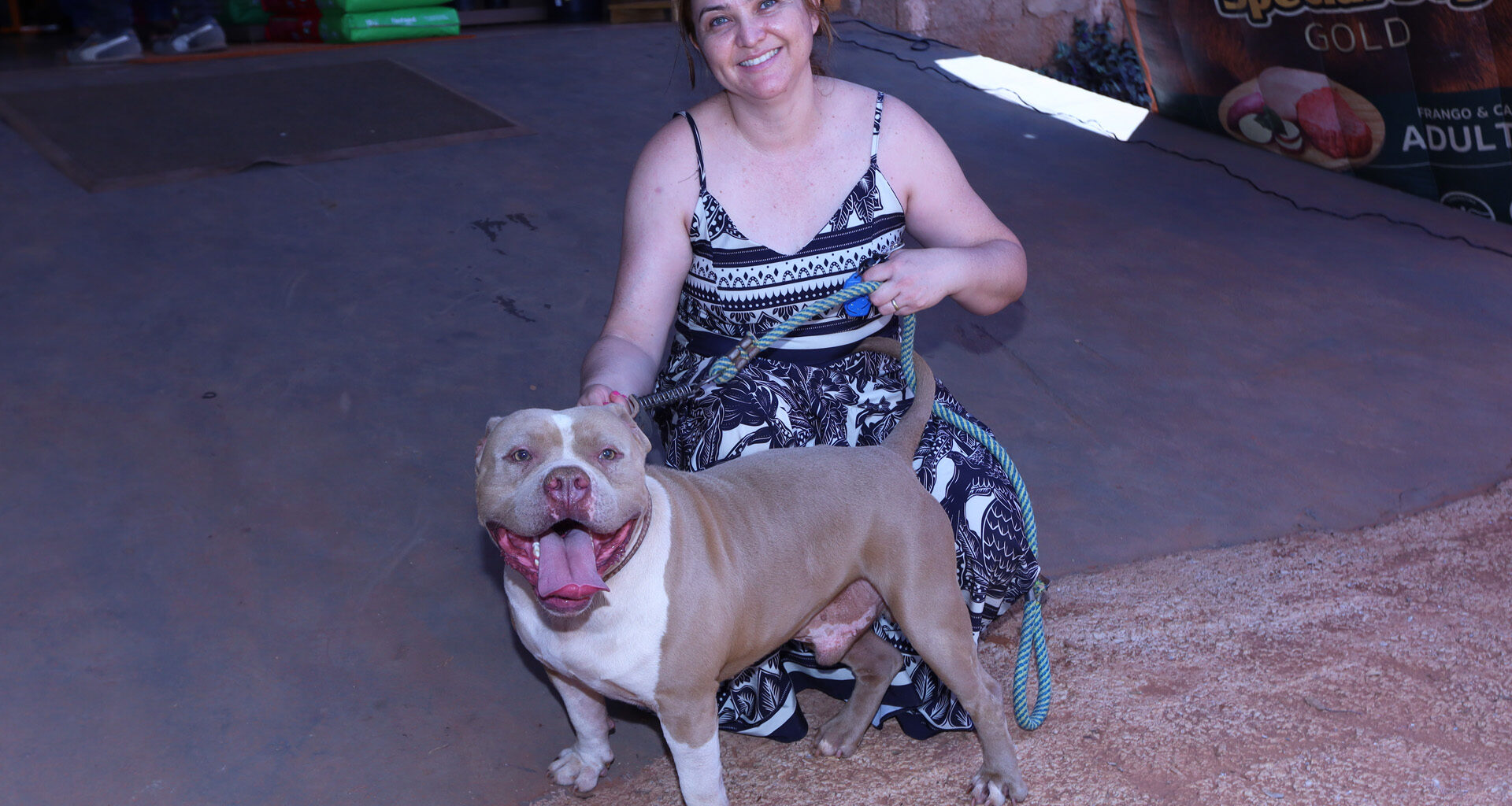 Sábado é dia de vacinar cães e gatos contra a raiva