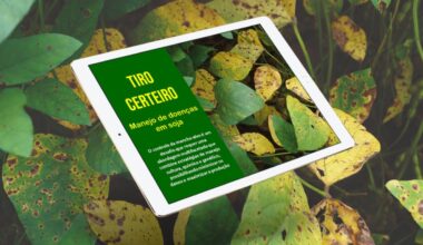 E-book “Tiro Certeiro: controle de mancha-alvo em soja” já está disponível aos leitores