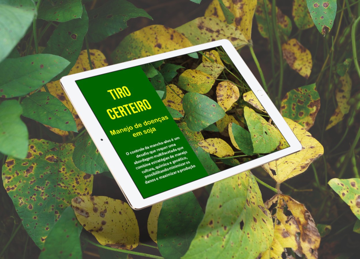 E-book “Tiro Certeiro: controle de mancha-alvo em soja” já está disponível aos leitores