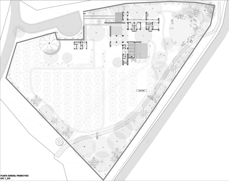 Casa Franco / Taller Espacio Colectivo - Imagem 11 de 13
