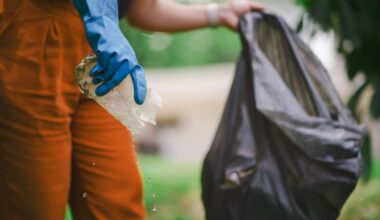 Com 20 mortes em 2025, SC faz mobilização nas escolas de enfrentamento contra dengue
