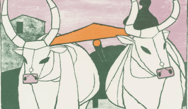 Cidades do agronegócio -