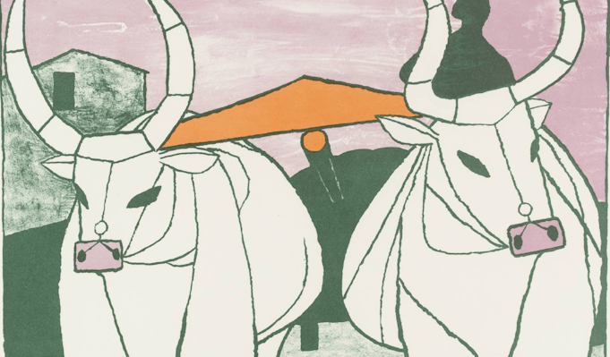 Cidades do agronegócio -