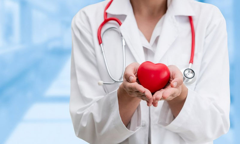 Além disso, elas previnem o desenvolvimento de doenças cardíacas e gastrointestinais, como alguns tipos de câncer e proporcionam sensação de saciedade, favorecendo o controle do peso corporal.-Arquivo/MS