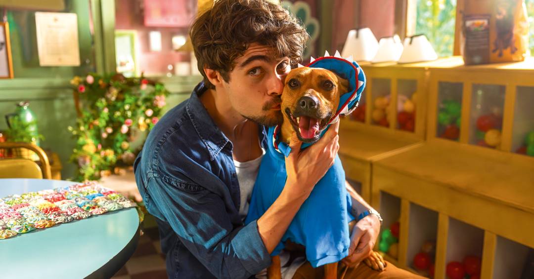 O cãozinho que ‘pediu emprego’ e virou astro de ‘Caramelo’, da Netflix