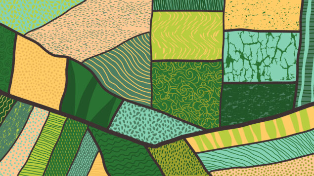 O valor da terra: um novo livro sobre o mais antigo ativo financeiro