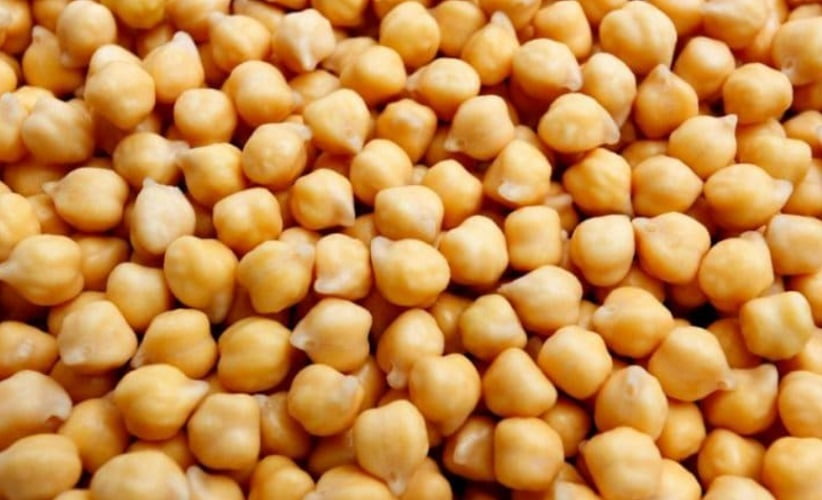 O grão de bico é uma leguminosa rica em fibras, proteínas, vitaminas e minerais. Desse modo, 100 gramas deste alimento cozido pode conter entre 8 e 18 gramas de fibras. -Divulgação