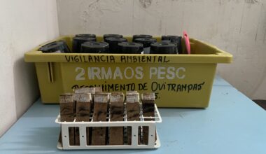 Sesa amplia estratégia de vigilância e monitoramento do Aedes aegypti no Espírito Santo