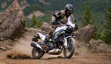 eis a nova aventureira raiz da marca verde