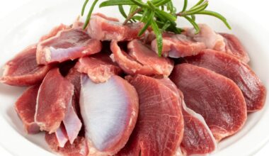 Moela de frango tem quase 30 g de proteína a cada 100 g, além de ferro, zinco e vitamina B12
