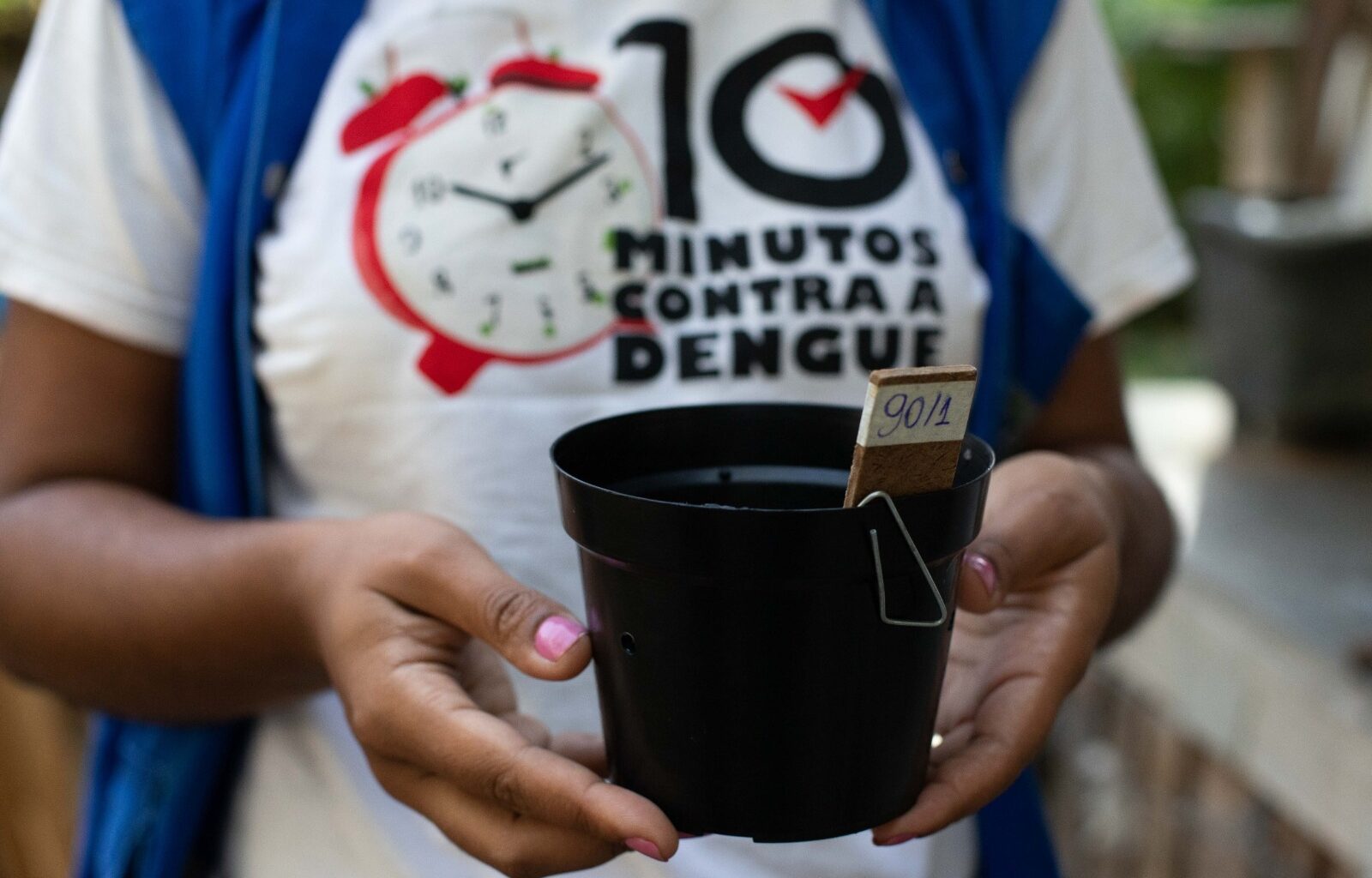 Saúde de Volta Redonda desenvolve armadilha de monitoramento do mosquito da dengue