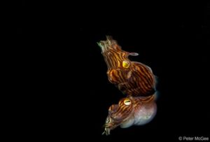 Lula de pijama listrada 