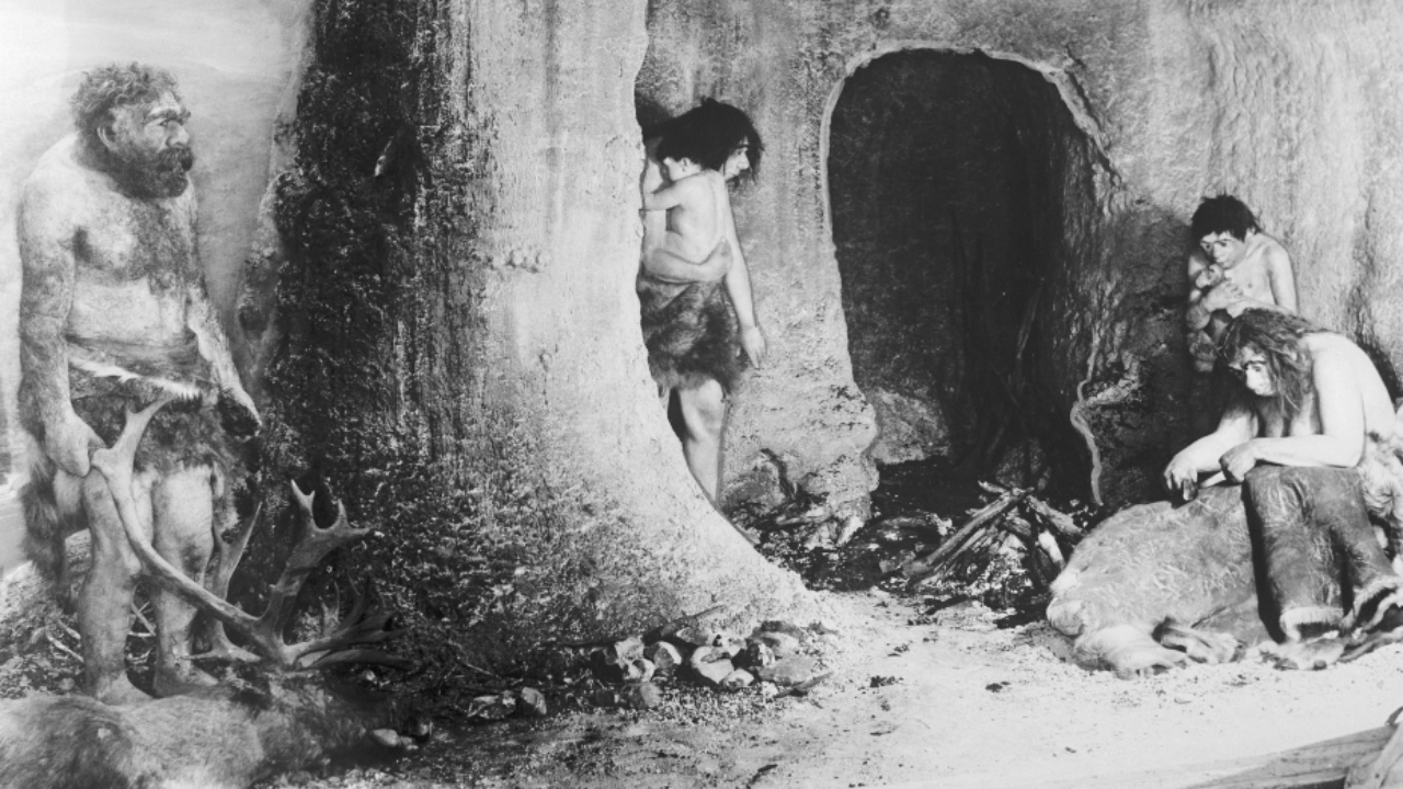 Gene ligado ao sangue pode ter selado o destino dos neandertais