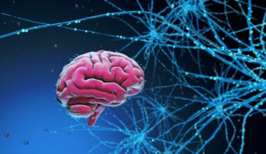 Alzheimer pode começar por quatro trajetórias distintas, aponta pesquisa