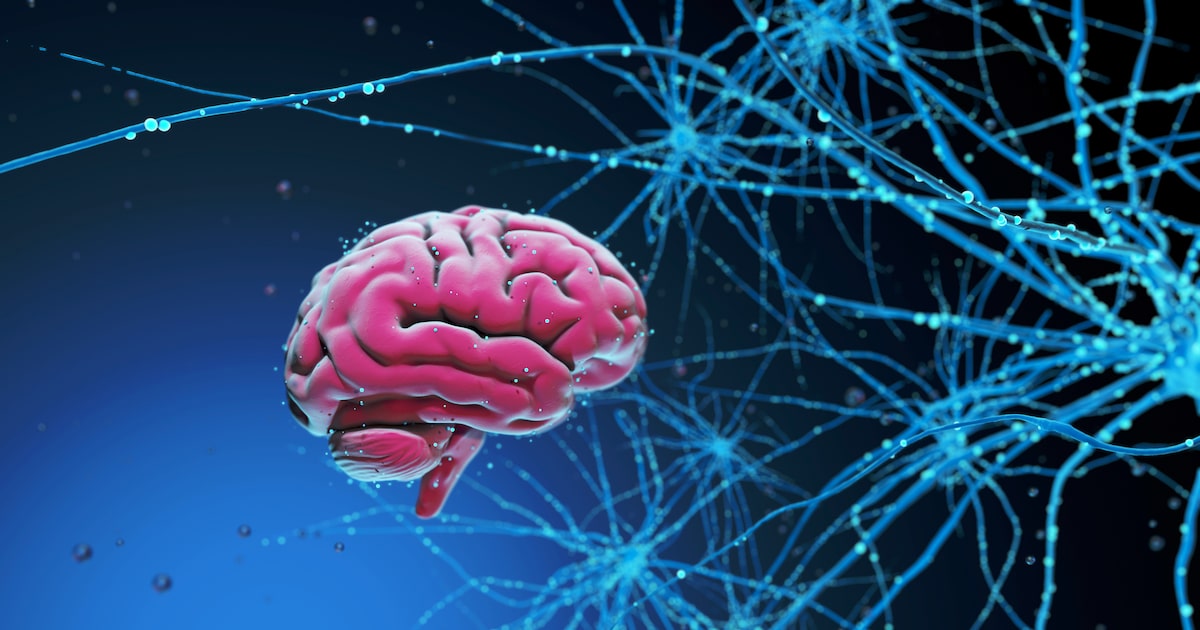 Alzheimer pode começar por quatro trajetórias distintas, aponta pesquisa