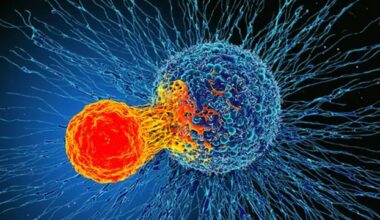 CLÍNICA IBIS LEVA AVANÇOS DO NOBEL DE MEDICINA PARA PACIENTES EM SALVADOR