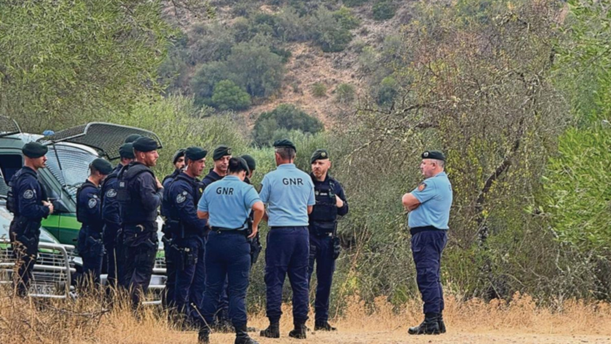 Jornal de Notícias Logo