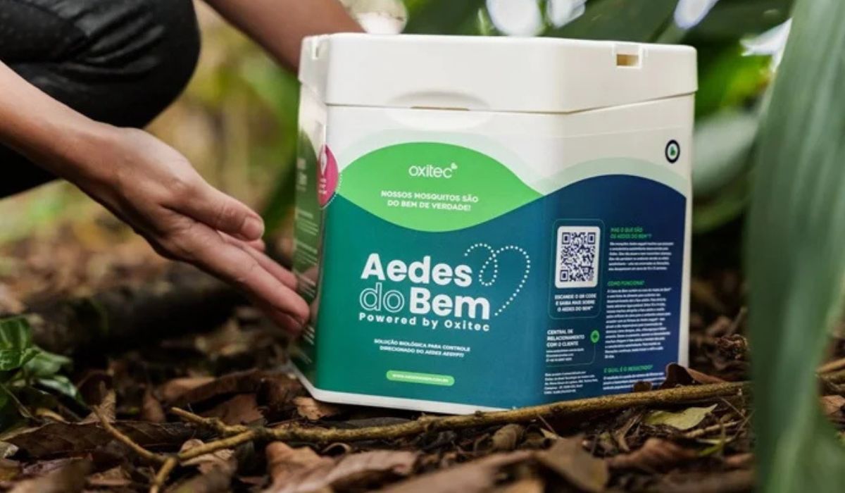 Aedes do Bem, da OxitecFoto: Oxitec/Reprodução/ND