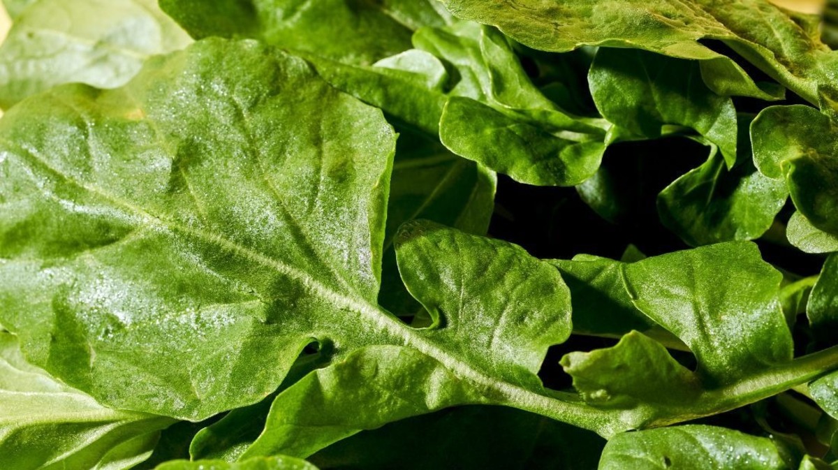 Consumo do vegetal deve ser alinhado com o médico, mesmo por quem deseja baixar o colesterol ruim