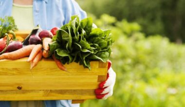 Bem-estar B+: É Primavera: 11 alimentos que turbinam a imunidade nas mudanças de temperatura - Correio do Estado