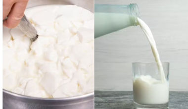 Vírus da gripe aviária sobrevive em queijo de leite cru por até 120 dias, mostra novo estudo da Nature Medicine; entenda