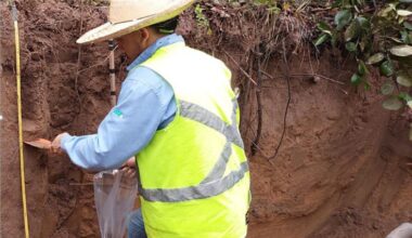 Método simplifica medição de carbono no solo com laser e IA