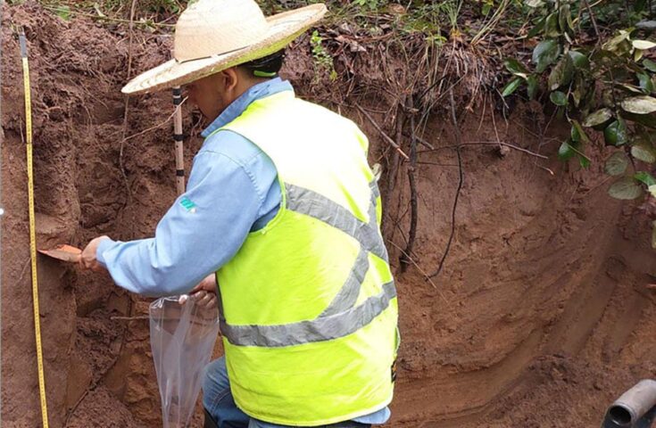 Método simplifica medição de carbono no solo com laser e IA