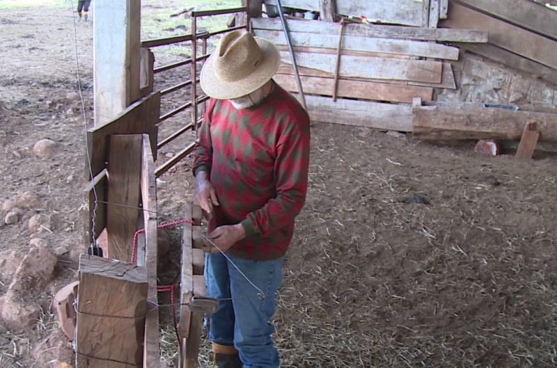 O ex-remador trabalhou na criação de gado de corte no interior de Pinhalzinho. - Arquivo Pessoal/Divulgação/ND