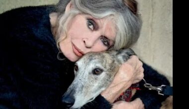 Brigitte Bardot, de 91 anos, é internada em estado grave e passa por cirurgia