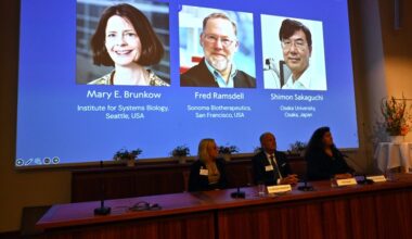 "Tolerância imunitária periférica". Nobel da Medicina distingue Mary E. Brunkow, Fred Ramsdell e Shimon Sakaguchi