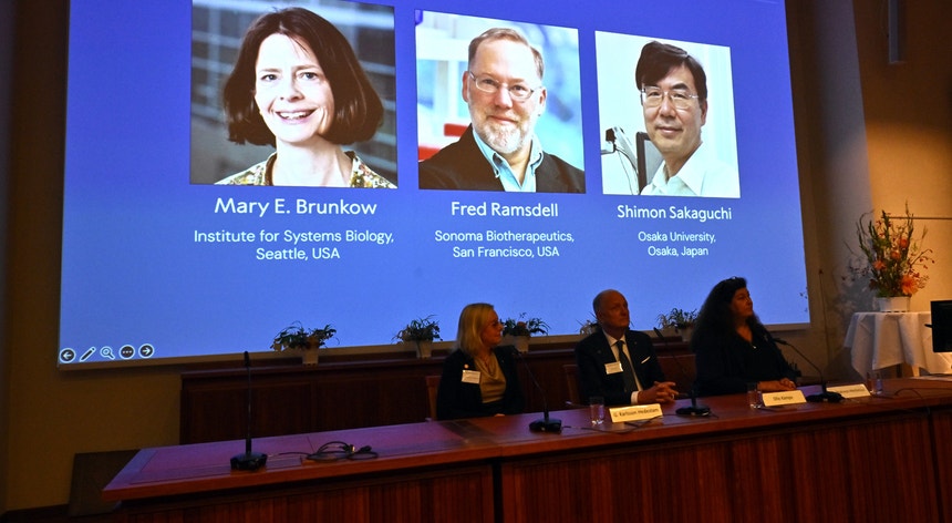 "Tolerância imunitária periférica". Nobel da Medicina distingue Mary E. Brunkow, Fred Ramsdell e Shimon Sakaguchi