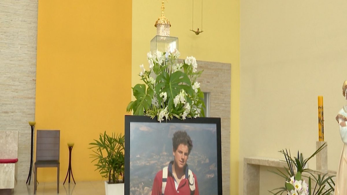 Igreja de Blumenau vai lançar livro sobre milagre de Carlo Acutis estilo Bobbie Goodies