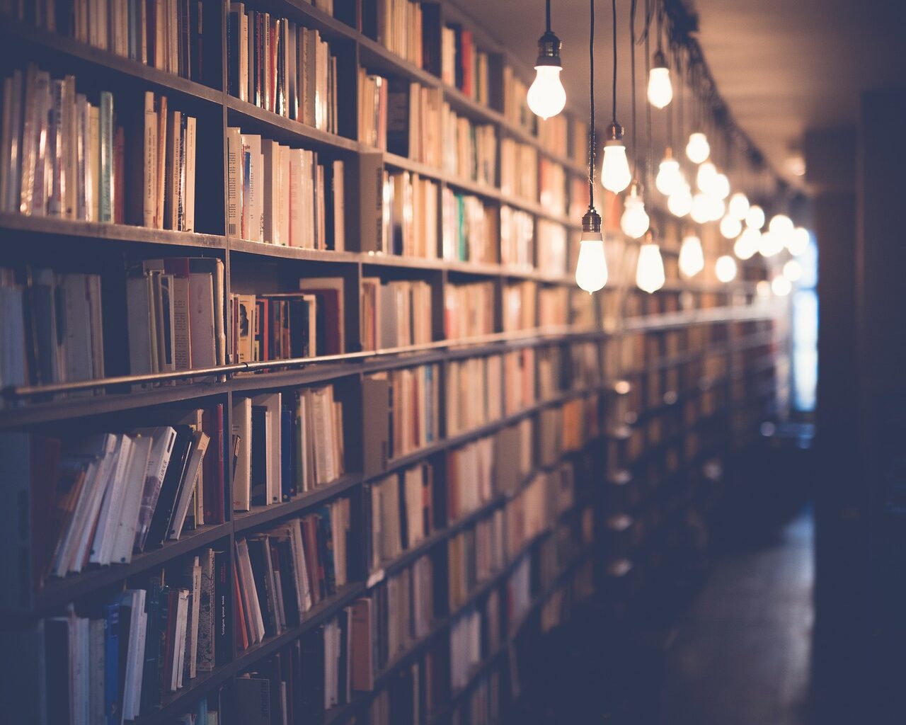 Teoria e Debate | Bibliotecas, livros e leitura ao longo da história do PT