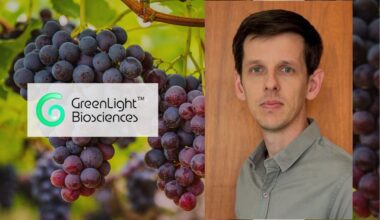 GreenLight pede registro do 1º fungicida à base de RNA do país