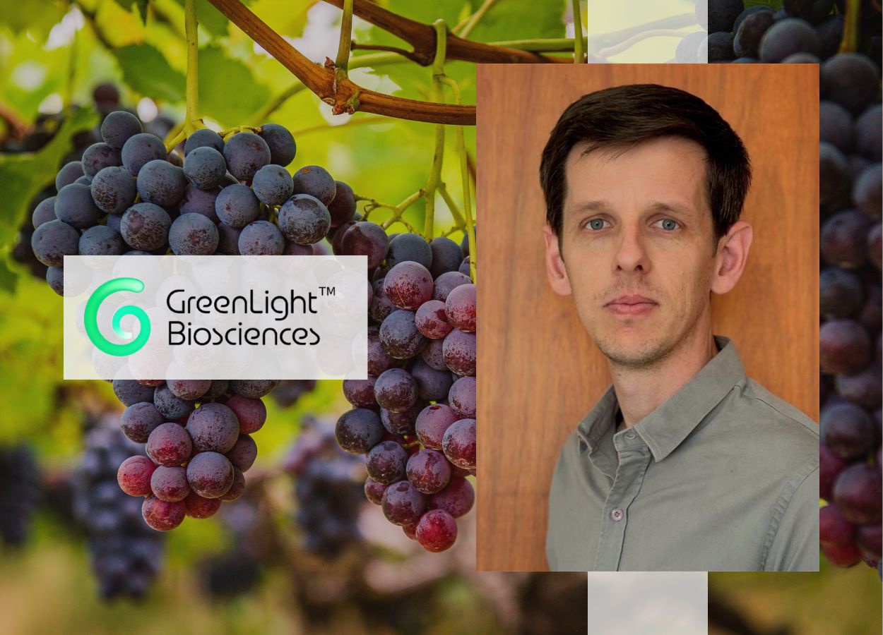 GreenLight pede registro do 1º fungicida à base de RNA do país