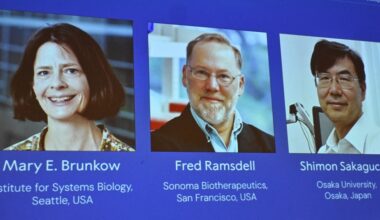 Cientista descobre que ganhou o Prémio Nobel em passeio de desintoxicação digital nas montanhas