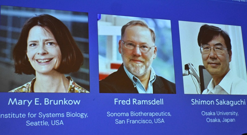 Cientista descobre que ganhou o Prémio Nobel em passeio de desintoxicação digital nas montanhas