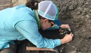 Novas evidências revelam que os dinossauros prosperavam quando o asteróide atingiu a Terra
