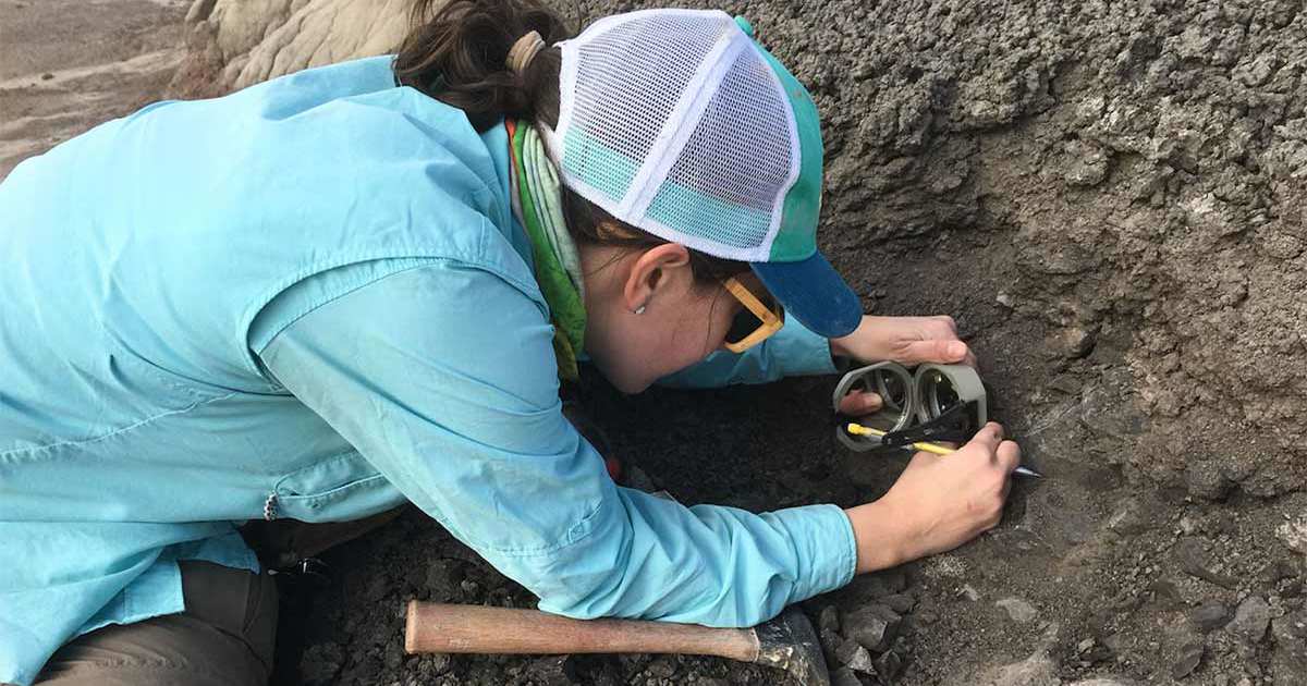 Novas evidências revelam que os dinossauros prosperavam quando o asteróide atingiu a Terra