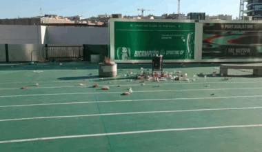Imprensa húngara critica lixo à volta do estádio José Alvalade