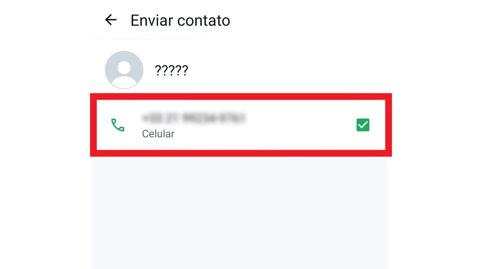 Como compartilhar contato no Whatsapp: é necessário marcar o "check" à direita — Foto: Reprodução