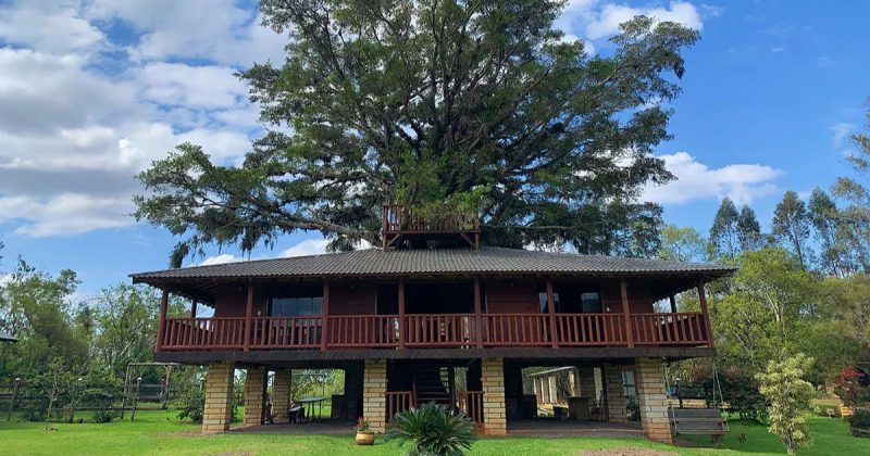 Maios casa da árvore do Brasil fica em SC - reprodução/Equilíbrio dos Canyons/ND mais
