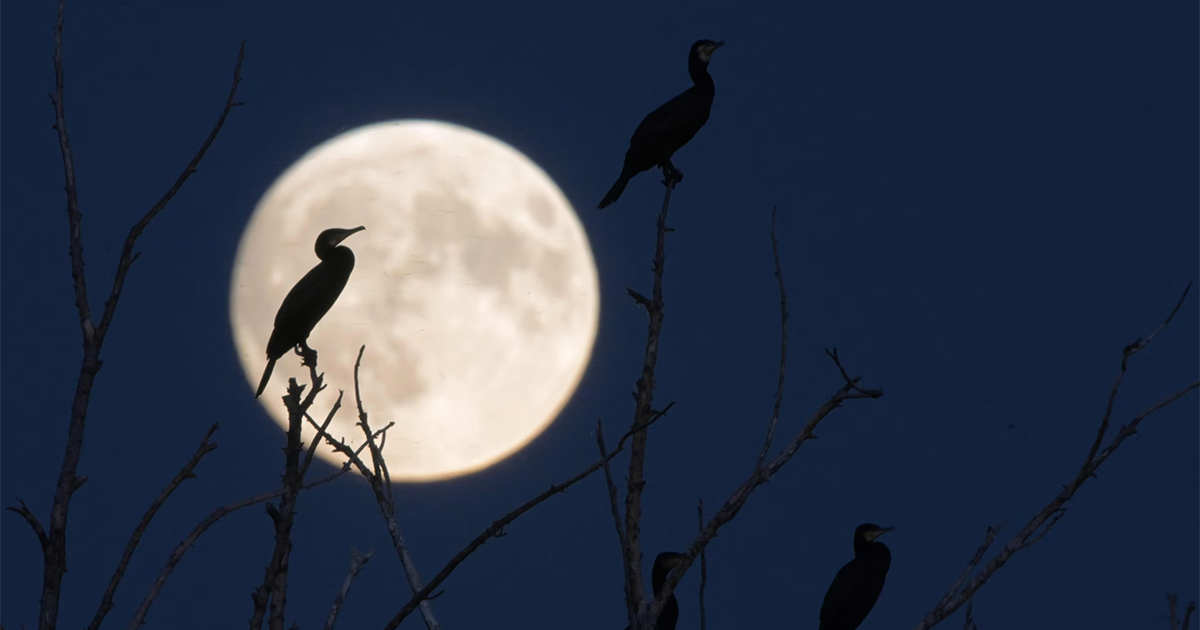 9 eventos do céu nocturno para apreciar em Outubro