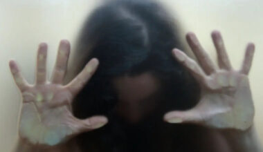 Jornal de Notícias Logo