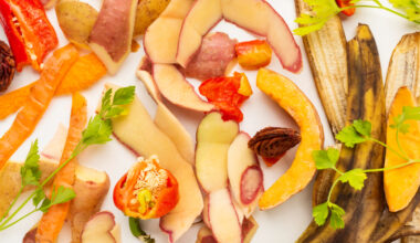 Jornal de Notícias Logo